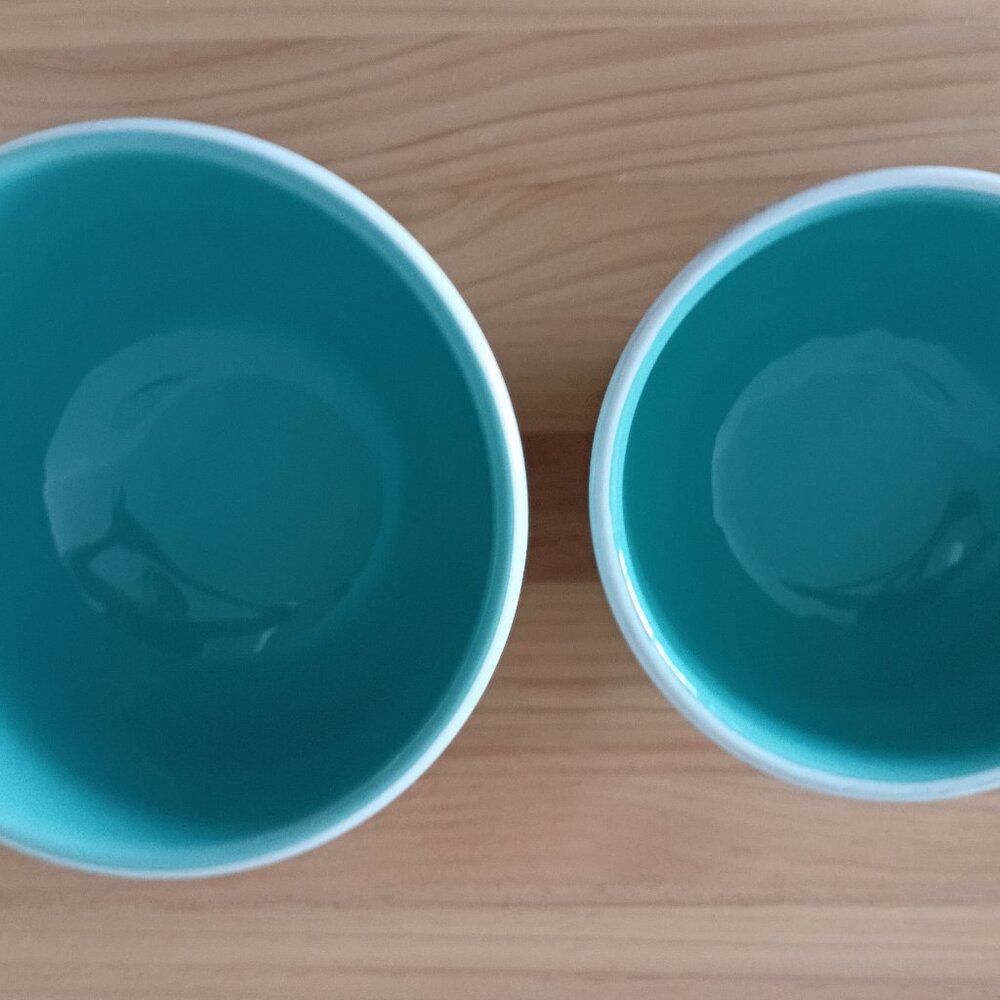 Set of 2 STUDIO NOVA Stoneware Serving Bowls